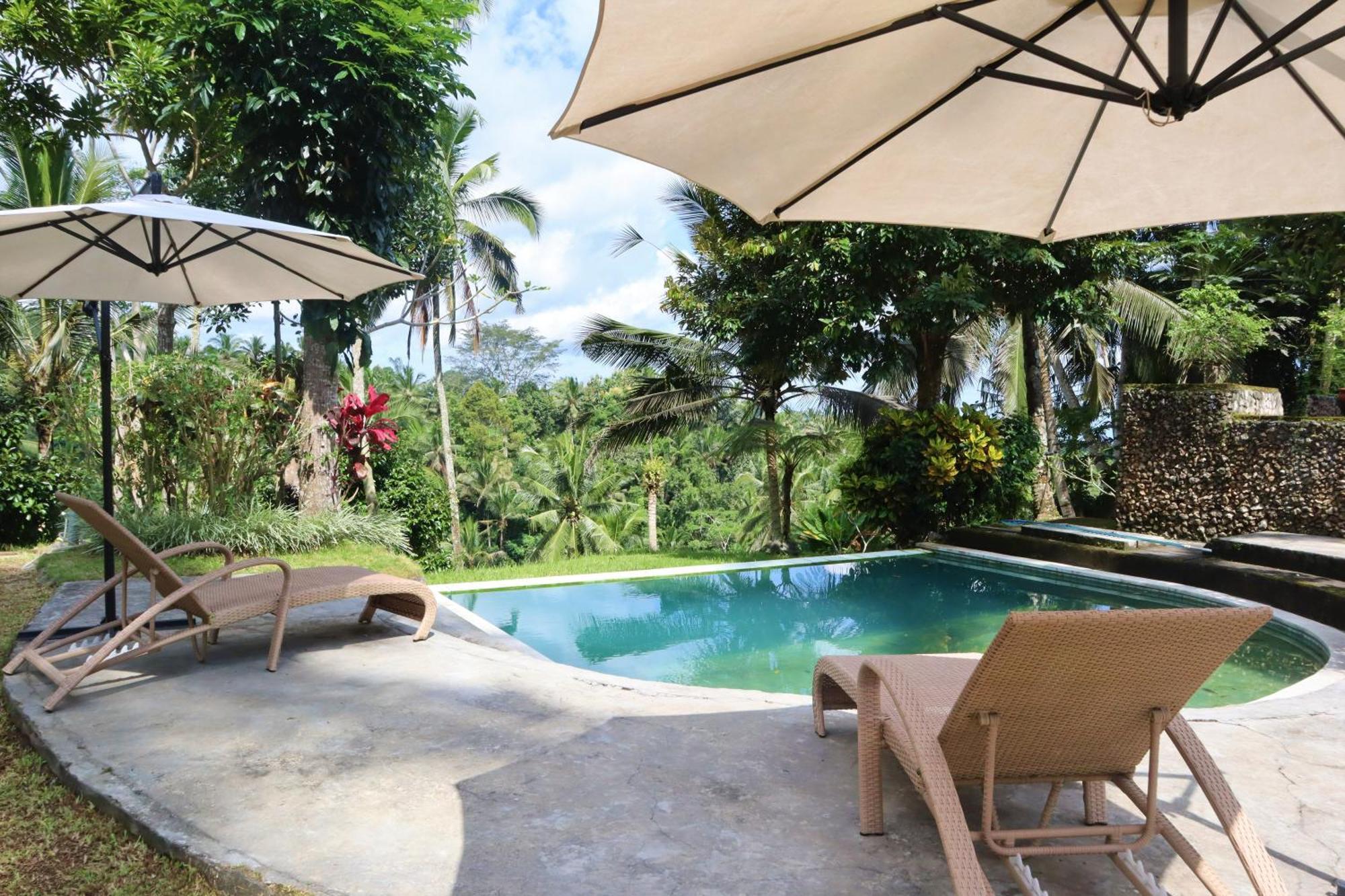 Aventus Resort Ubud Tegallalang  Kültér fotó