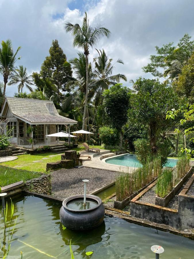 Aventus Resort Ubud Tegallalang  Kültér fotó